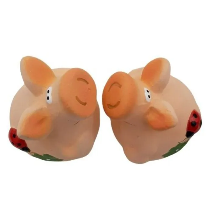 Geluksvarkentjes Set Van 2