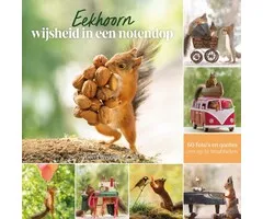 Eekhoorn wijsheid in een notendop