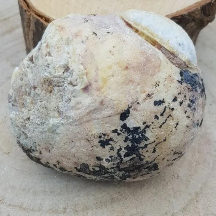 Agaat Natuur Half Gepolijst 7,5 cm - 217 Gram