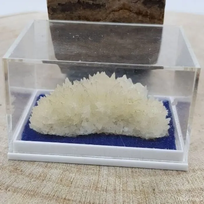 Calciet Hondentand mini cluster