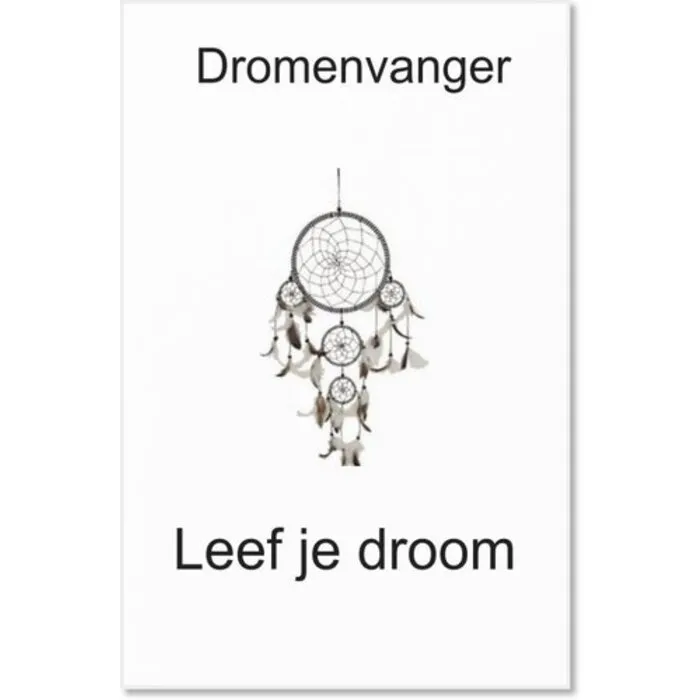 Sleutelhanger Dromenvanger Regenboog -Spiritueel Cadeau