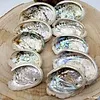 Natuurlijke Abalone Schelpjes - Ca. 100 gram
