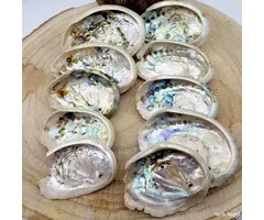 Natuurlijke Abalone Schelpjes - Ca. 100 gram