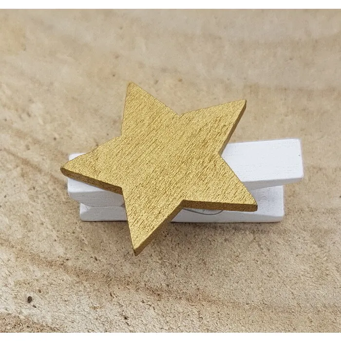 Knijper met Ster Goud 5 stuks
