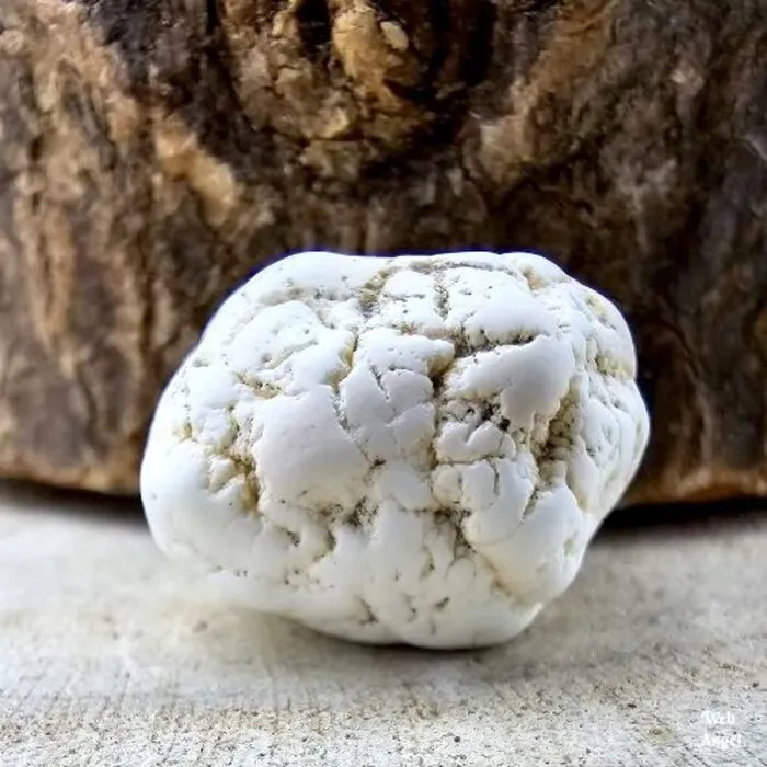 Magnesiet getrommeld