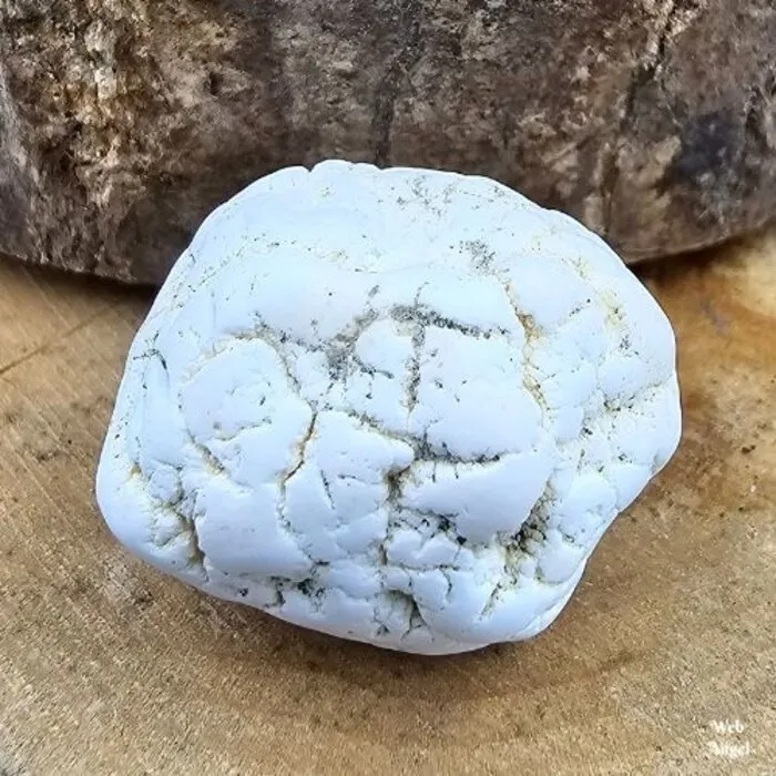 Magnesiet getrommeld