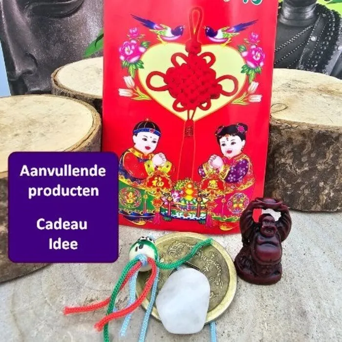 Chinese gelukszakjes klein 10 stuks