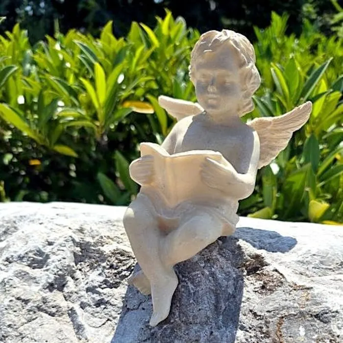 Zittende Engel Leest Boek