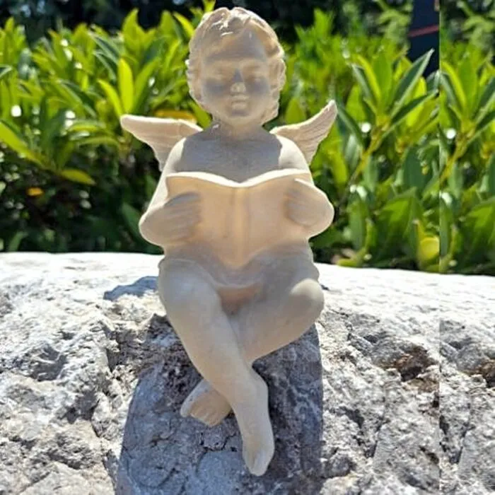 Zittende Engel Leest Boek