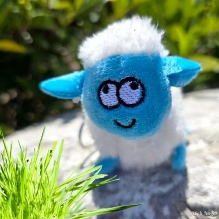 Sleutelhanger Schaap Met Kaartje - "blij met jou"