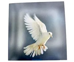 Wenskaart met Witte Vredesduif