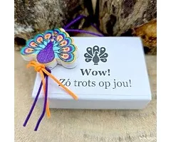 Wensdoosje Wow zó trots op jou!