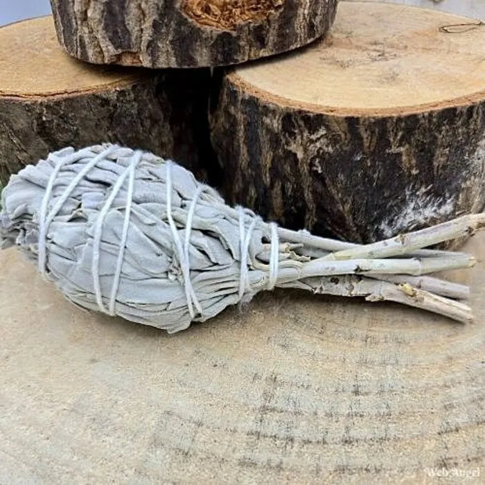 Witte salie smudge fakkel