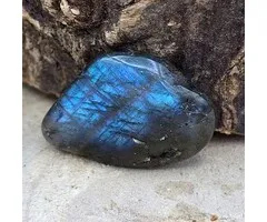 Labradoriet getrommeld