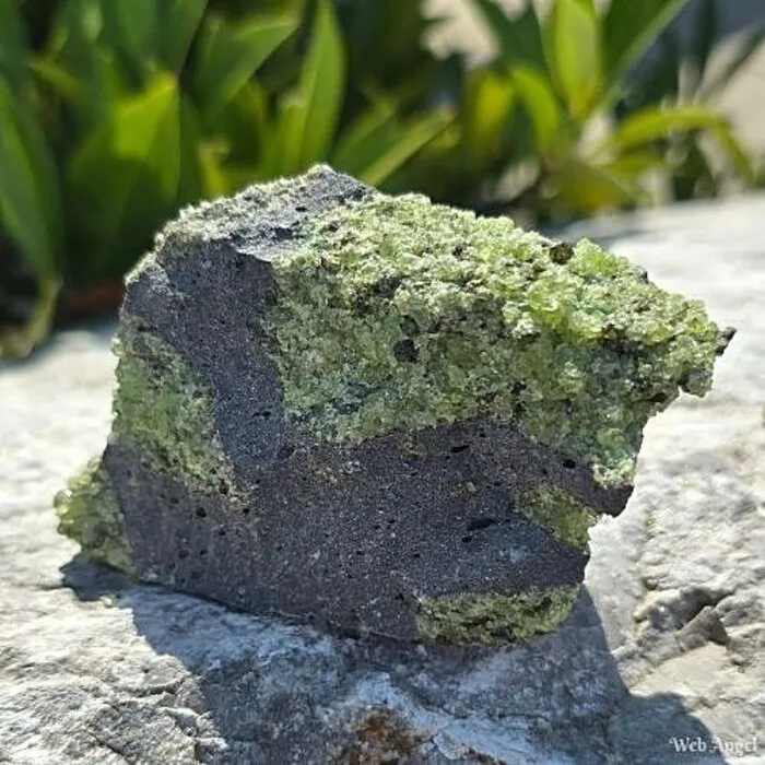 Peridoot Olivijn op Vulkanisch Gesteente – 273 Gram