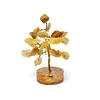 Edelsteenboom golden healer 8 cm