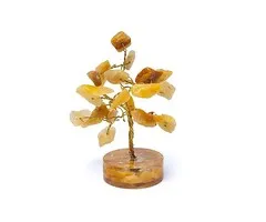 Edelsteenboom golden healer 8 cm