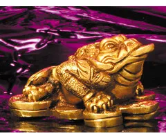 Feng shui kikker messing