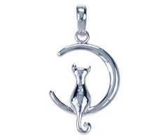 Zilver hanger Kat in maan