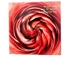 Wenskaart - In Het Oog van de Storm