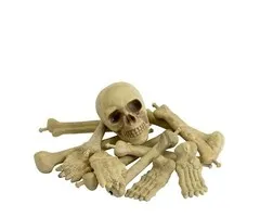 Halloween decoratie botten