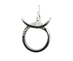 Astrologie Hanger Stier - Sterling Zilver