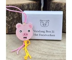 Wensdoosje - Vandaag Ben Jij Het Feestvarken