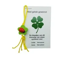 Klaver vier met lieveheersbeestje op kaartje