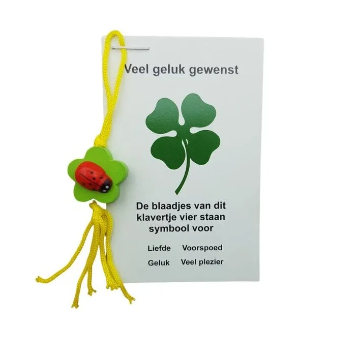 Klaver vier met lieveheersbeestje op kaartje