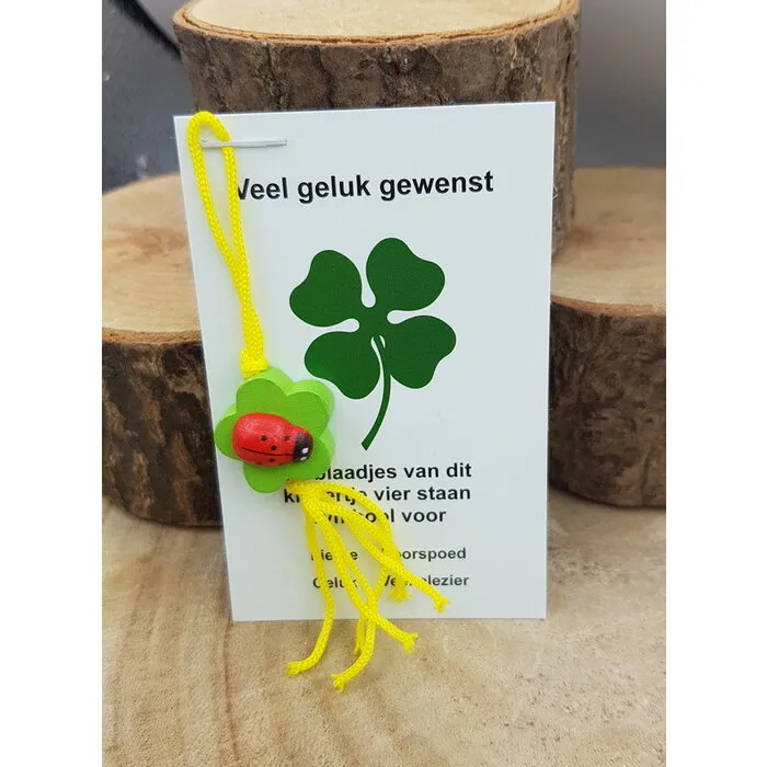 Klaver vier met lieveheersbeestje op kaartje