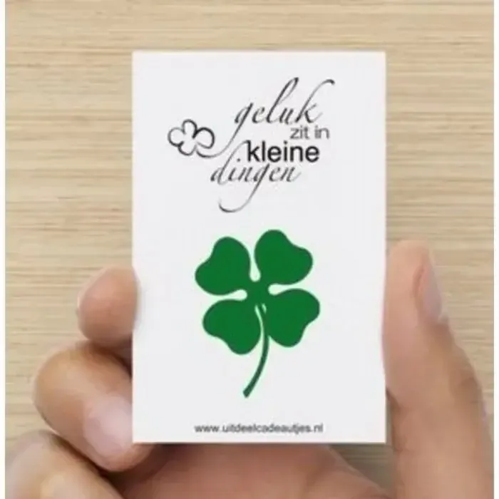 Geluksmuntje Klavertje vier met kaartje