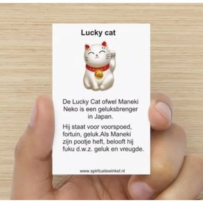 Lucky Cat porseleinen gelukshanger met kaartje