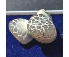 Snakeskin Chalcedoon uit Oregon