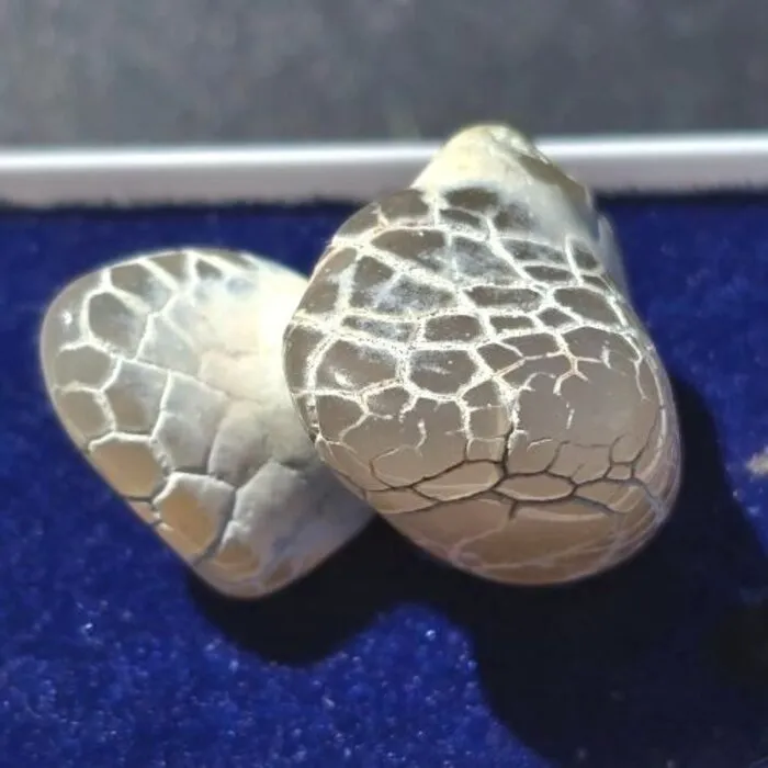 Snakeskin Chalcedoon uit Oregon