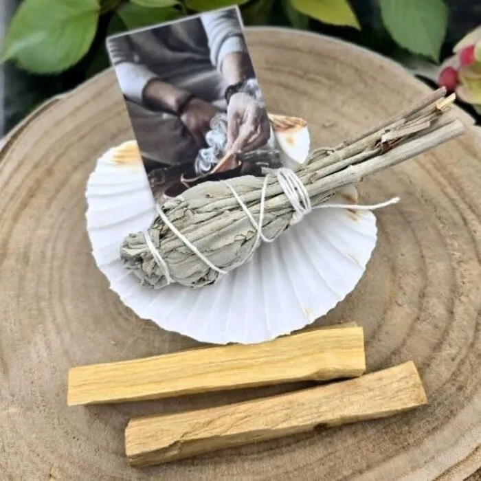 Huis reinigen voordeelpakket met jacobsschelp