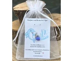 Klein Dolfijntje op Kaartje