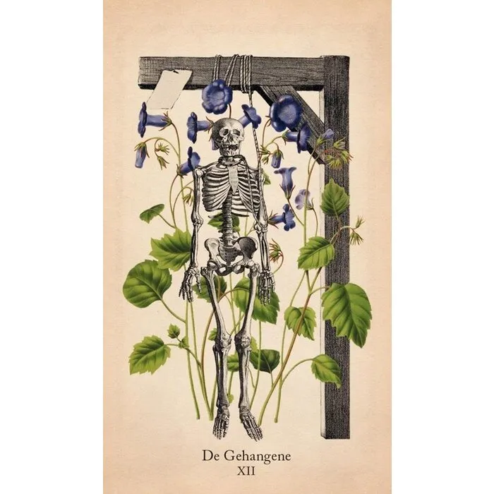 Klassieke anatomie tarot