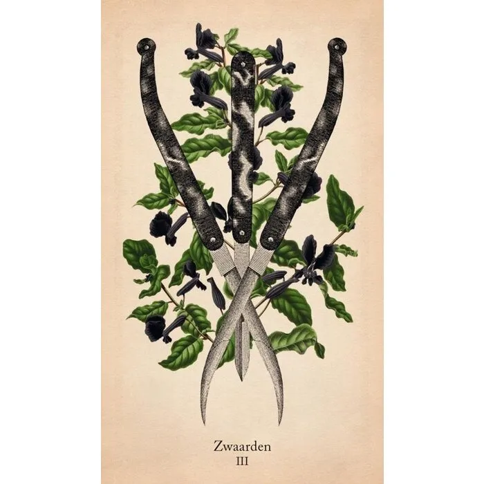 Klassieke anatomie tarot