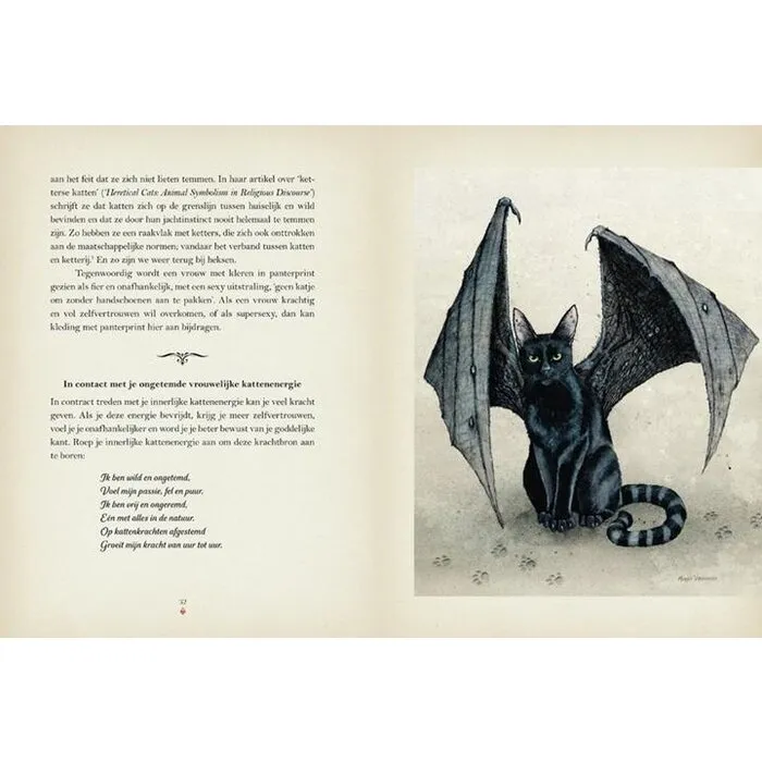 De magie van katten