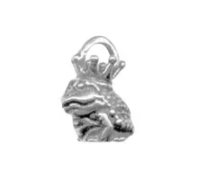 Zilveren hangertje kikker met kroontje