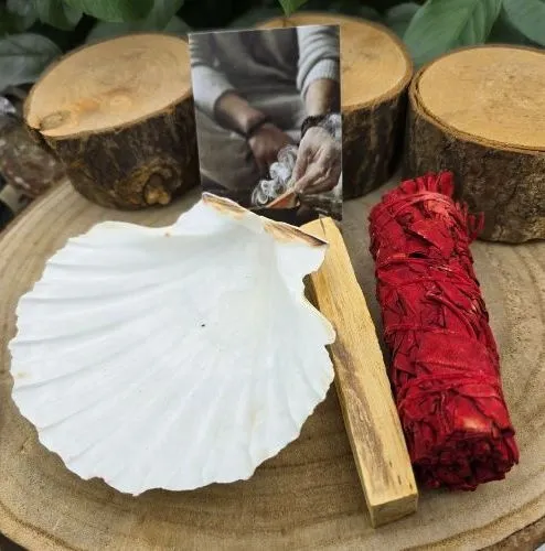 Dragonsblood Smudge Pakket met St. Jacobsschelp