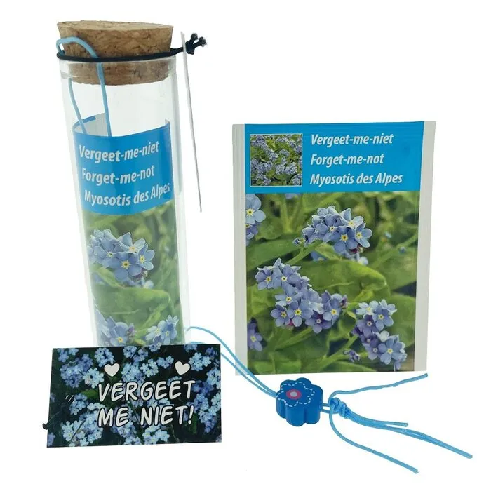 Vergeet mij niet bloemzaadjes in buisje