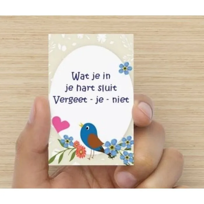 Vergeet mij niet bloemzaadjes in buisje