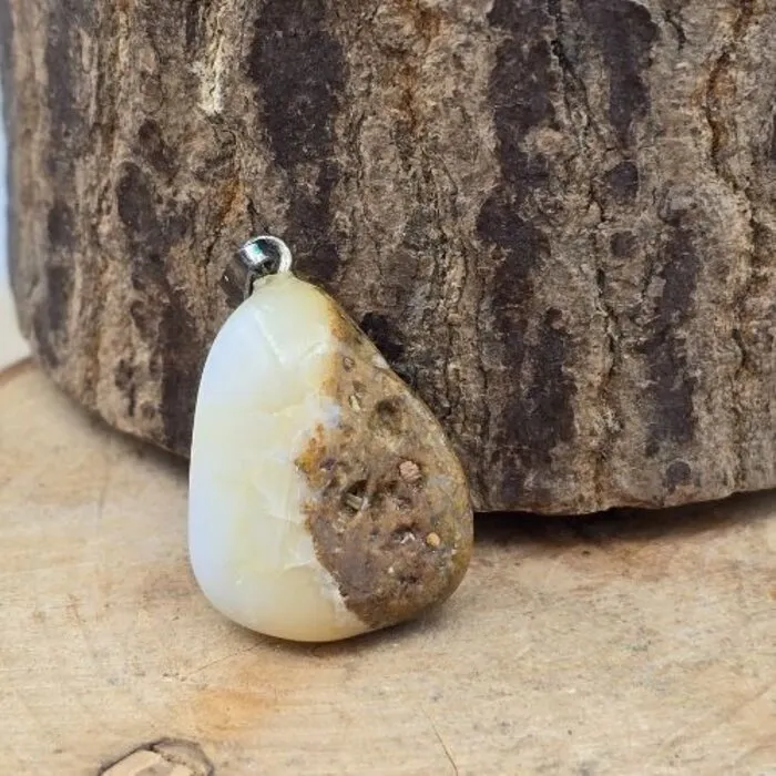 Dendriet agaat hangertje