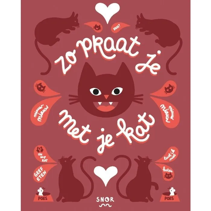 Zo praat je met je kat