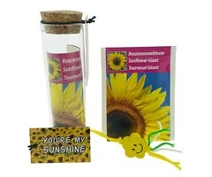 you’re my sunshine zonnebloem