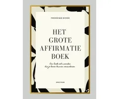 Het grote affirmatieboek