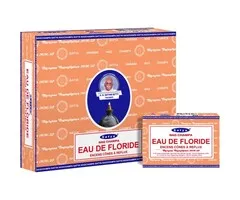 Florida Water Backflow Cones