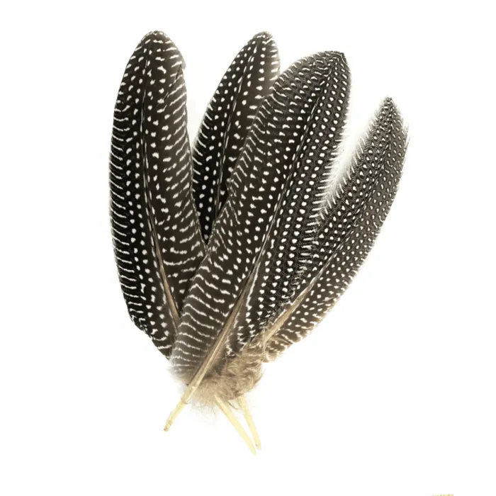 Smudge veer gestippeld