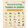 Geneeskrachtige kruiden en planten